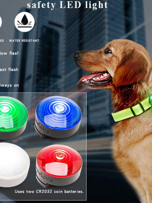 Pet Led Safety Light (harness/collar)