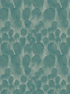 Feathers Wallpaper In Teal From The Natural Opalescence Collection By Antonina Vella For York Wallcoverings