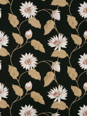 Sample Giverny Wallpaper In Black And Brown Color By Nina Campbell