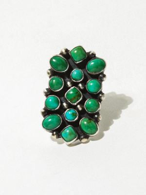 Tallara Cluster Native Ring