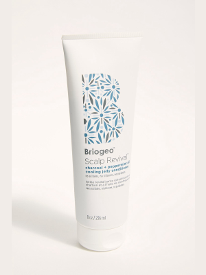 Briogeo Scalp Revival Conditioner