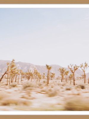 Joshua Tree Framed Photo