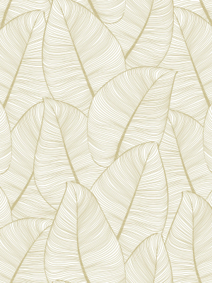 Gold Fine Line Leaves Wallpaper By Walls Republic