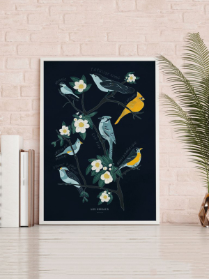 Canadian Birds Art Print