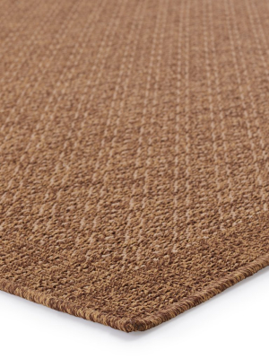 Maeva Indoor/outdoor Border Light Brown Rug