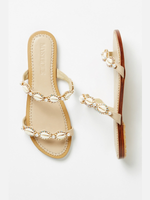 Mystique Shell-embellished Slide Sandals