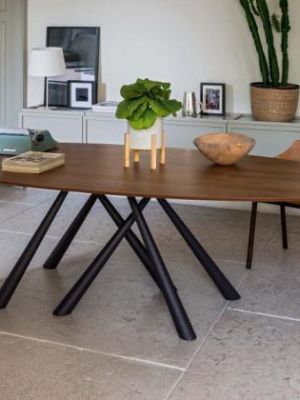 Forest Elliptical Dining Table By Midj