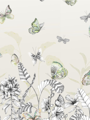 Sample Papillons Wall Mural In Birch From The Mandora Collection By Designers Guild