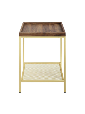 Glam Square Tray Side Table With Metal Mesh Shelf - Saracina Home