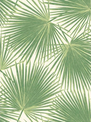 Aruba Wallpaper In Green From The Tortuga Collection By Seabrook Wallcoverings