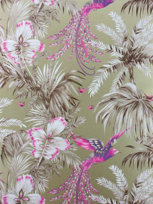 Bird Of Paradise Wallpaper In Purple And Tan From The Samana Collection By Matthew Williamson