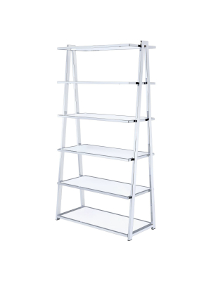 71" Decorative Bookshelf White Chrome - Acme Furniture