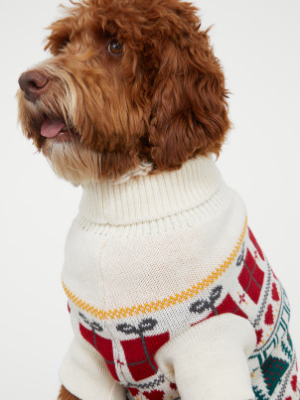 Knit Dog Sweater