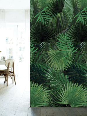 Palm Botanical Wallpaper By Kek Amsterdam