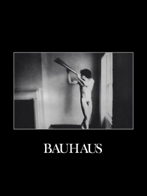 Bauhaus, In The Flat Field