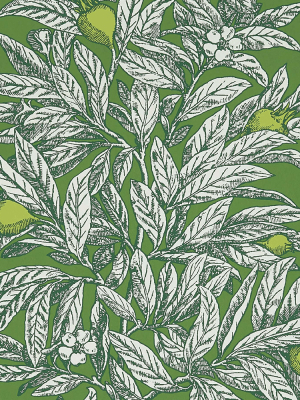 Medlar Wallpaper In Garden Green And Lime From The Mansfield Park Collection By Osborne & Little