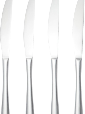 Sizzle Silver Steak Knives Set Of 4