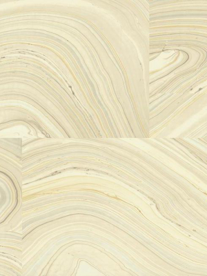 Onyx Wallpaper In Yellow And Brown Design By Candice Olson For York Wallcoverings