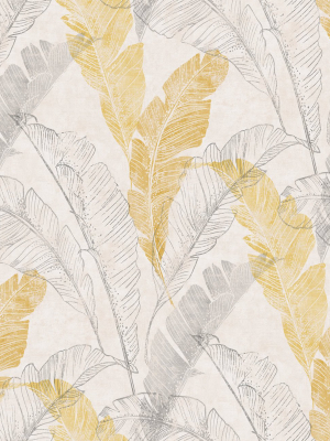 Illustrated Feathers Wallpaper In Yellow By Walls Republic