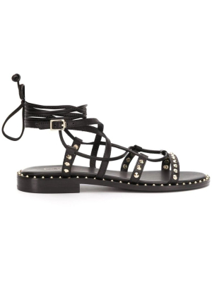 Ash Princess Gladiator Sandals