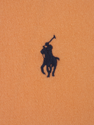 Polo Ralph Lauren Logo Embroidered Sweatshirt