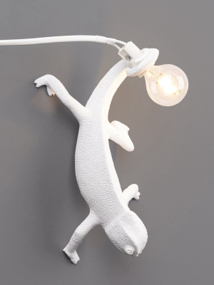 Chameleon Lamp - 3 Styles