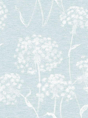 Carolyn Dandelion Wallpaper In Light Blue From The Nature By Advantage Collection By Brewster Home Fashions