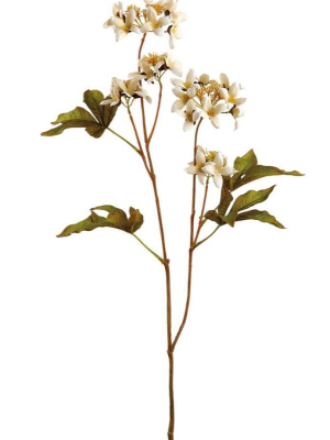 Cream Artificial Viburnum Wildflowers - 37"