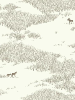 Wild Tundra Wallpaper In Ivory And Brown From The Norlander Collection By York Wallcoverings