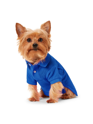 Big Pony Mesh Dog Polo Shirt