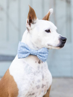 Chambray Dots Bow Tie Collar