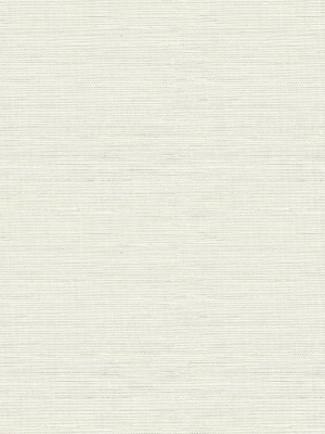 Agave Imitation Grasscloth Wallpaper In Light Grey From The Pacifica Collection By Brewster Home Fashions