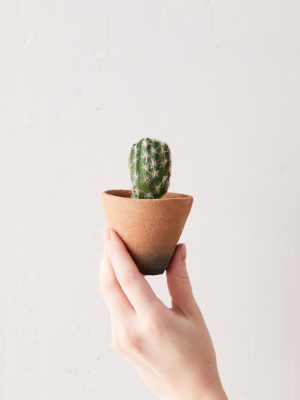 Mini Terracotta Planter