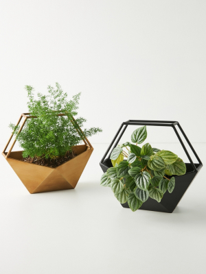 Geo Conservatory Planter