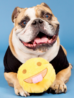 Bark Tongue Face Emoji Ball Dog Toy