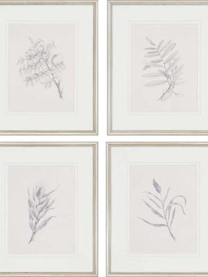 Grey Flora (set Of 4)