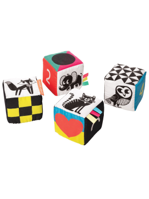 Wimmer Ferguson Mind Cubes By Manhattan Toy
