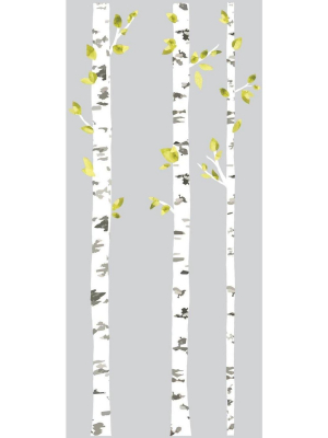 52 Birch Trees Peel And Stick Wall Decal Yellow - Roommates