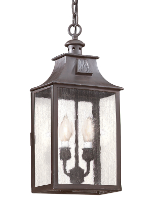 Newton Hanging Lantern Medium By Troy Lighting