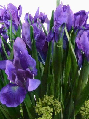 Iris, Viburnum Arrangement
