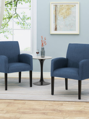 Set Of 2 Amnesty Contemporary Dining Chairs - Christopher Knight Home