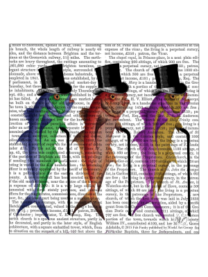 Thirstystone Fishing Lines Coasters Set Of 4 - Gentlemen Of Fisherton