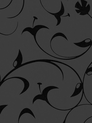 Sample Floral Scrollwork Wallpaper In Black Design By Bd Wall