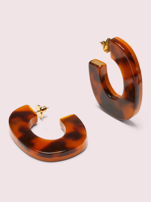 Gleaming Resin Hoops