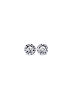 Pompeii3 5/8ct Pave Halo Diamond Studs 14k White Gold