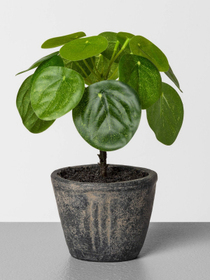 6.5" Faux Pilea Potted Plant - Hearth & Hand™ With Magnolia