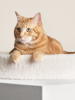 Kip Cat Cushion