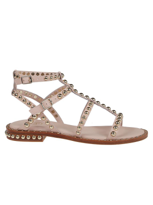 Ash Precious Gladiator Sandals