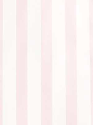 Unisex Pomelo Pink Stripe Rashguard