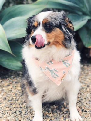 Cactus Garden Dog Bandana